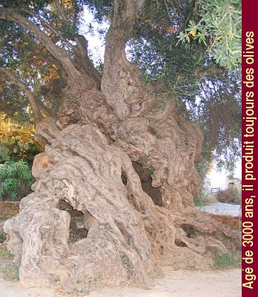 Crete_026.jpg