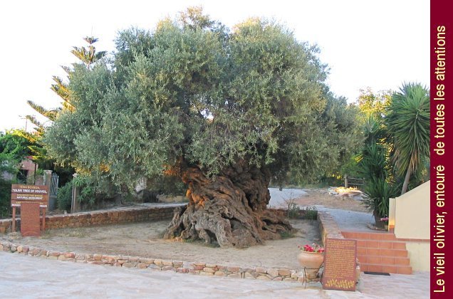 Crete_027.jpg