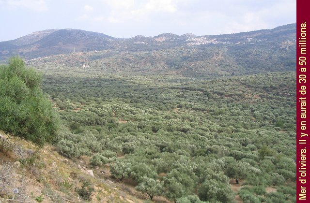 Crete_063.jpg