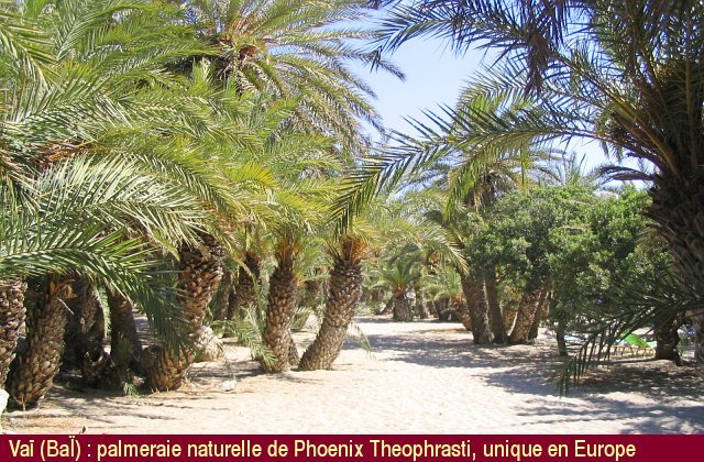 Crete_078.jpg