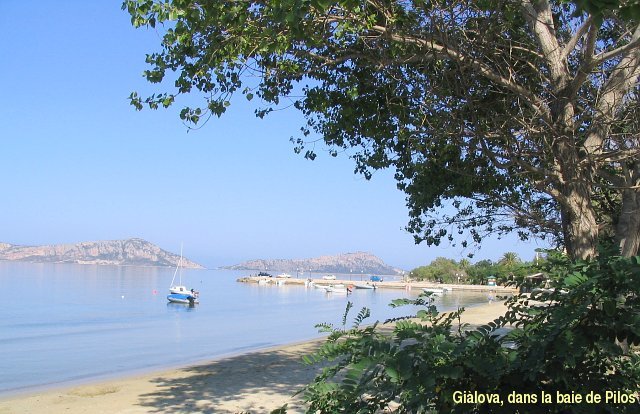 AAC_4.jpg