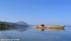AAC_5.jpg