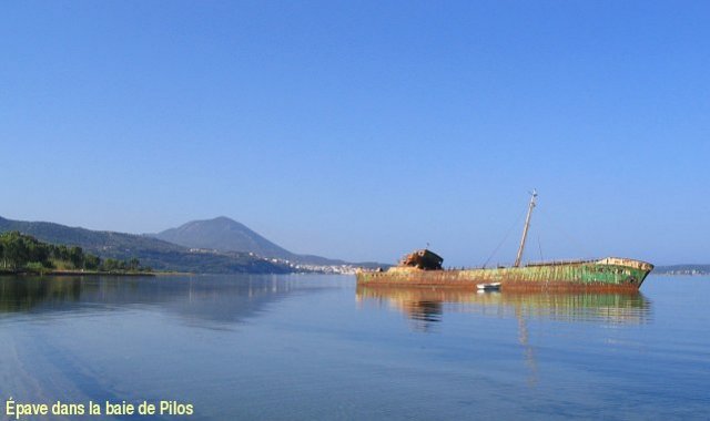 AAC_5.jpg